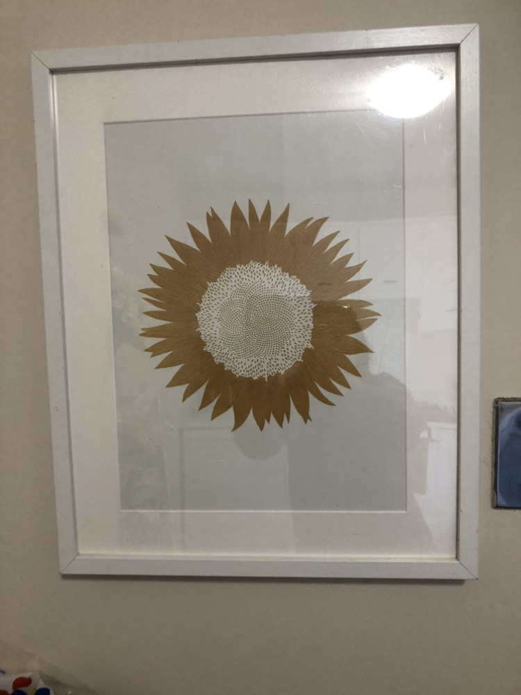 2 Framed art prints image indicator(2)