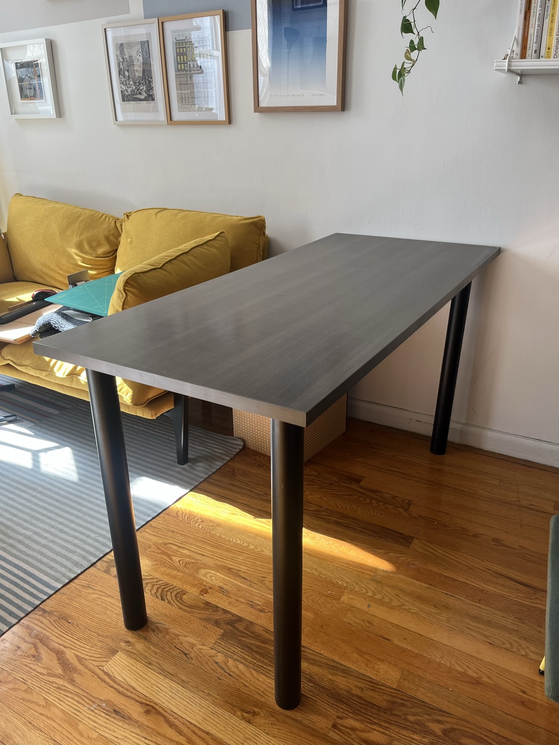 Desk / table 24” x 54”