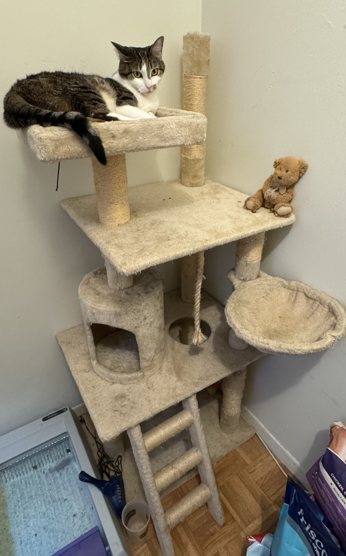 Cat tower - photo 3