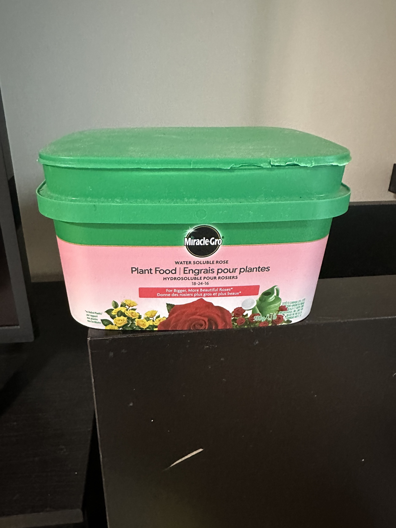 plant food thumbnail