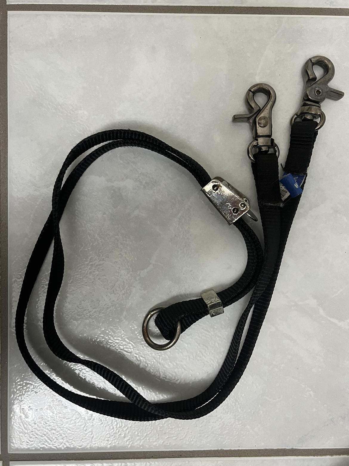 #freecycle dog leash (for 2 dogs at a time) image indicator(2)