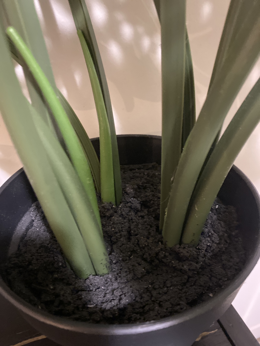 Plant decoration - photo 3