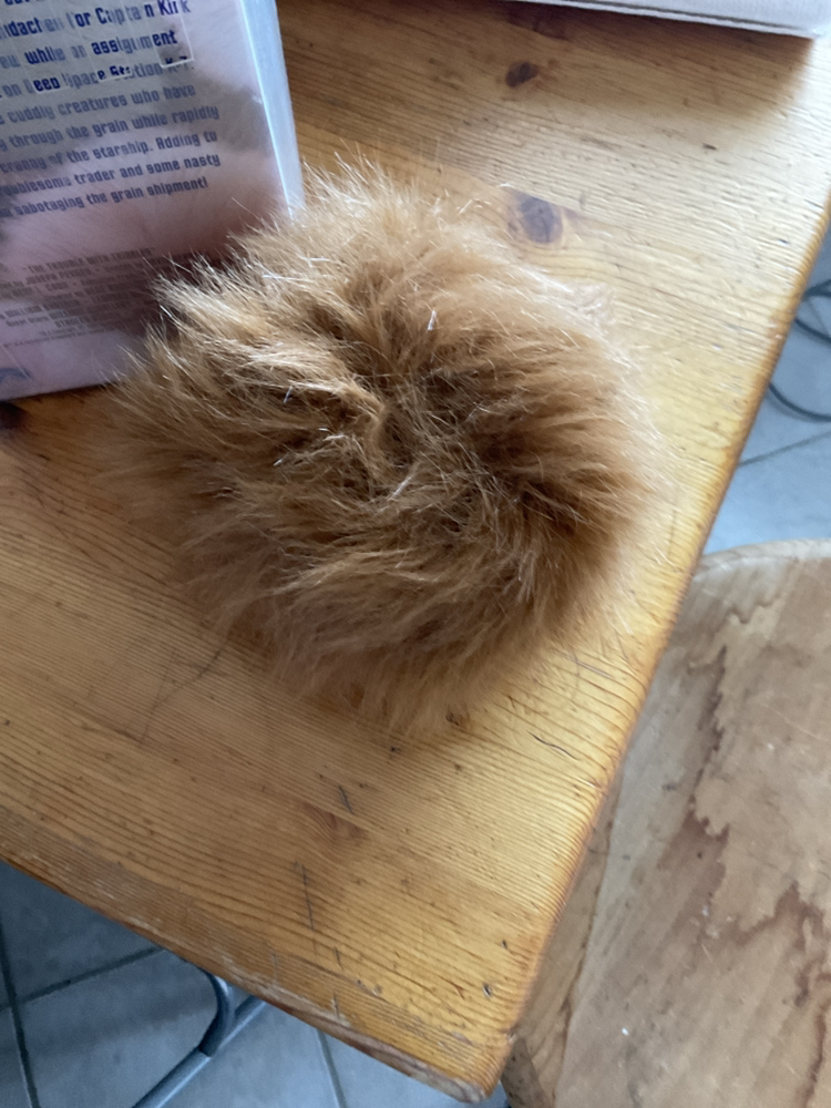 A must have for trekkies image indicator(2)