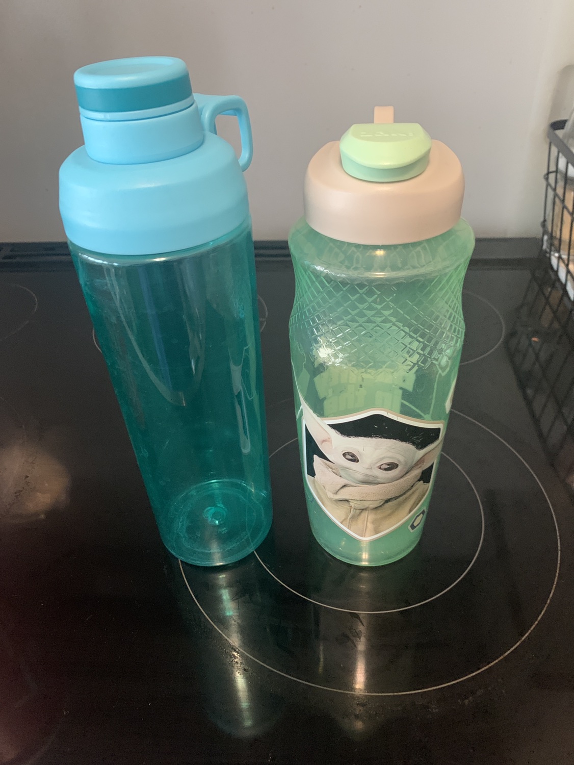 Travel water bottles #freecycle