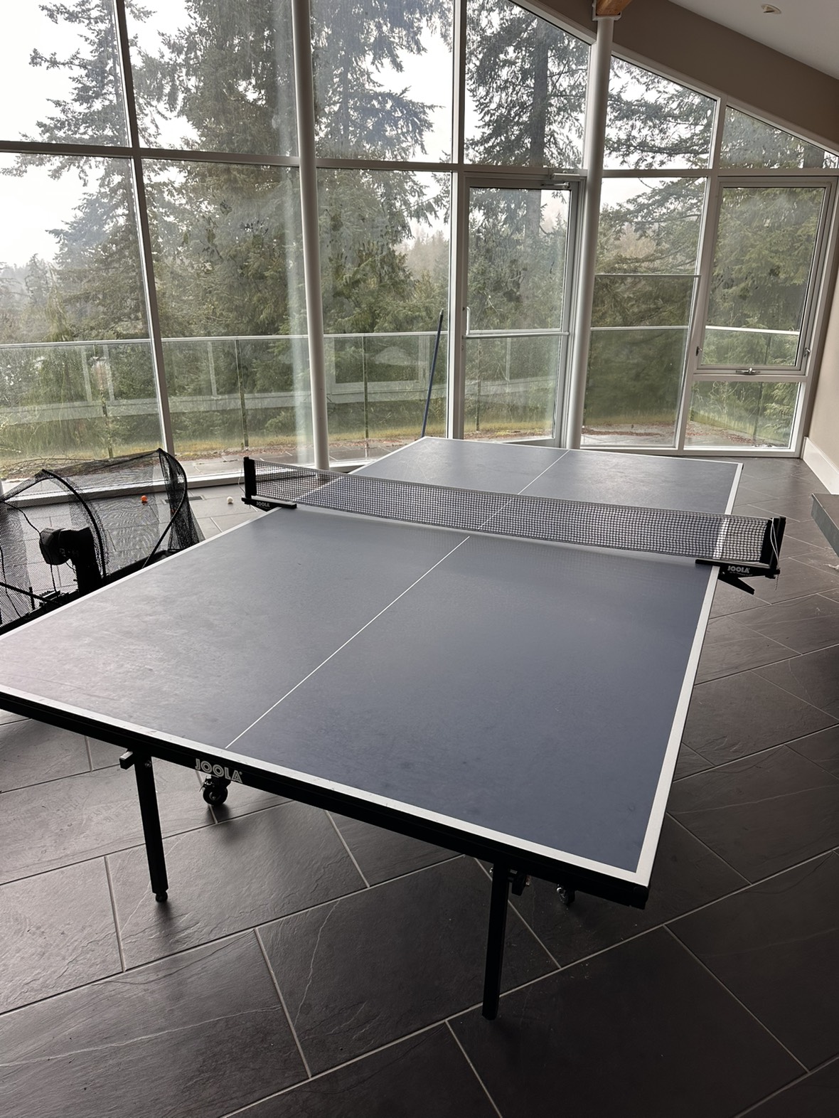 Table tennis table