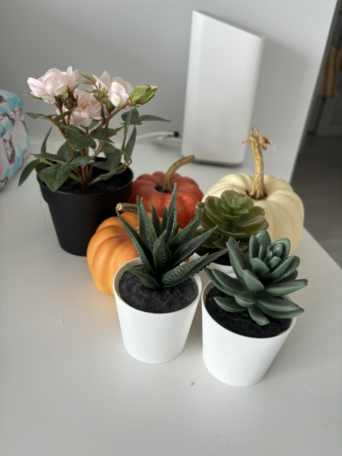 Moving out sale: Random Decor Plants & Pumpkins