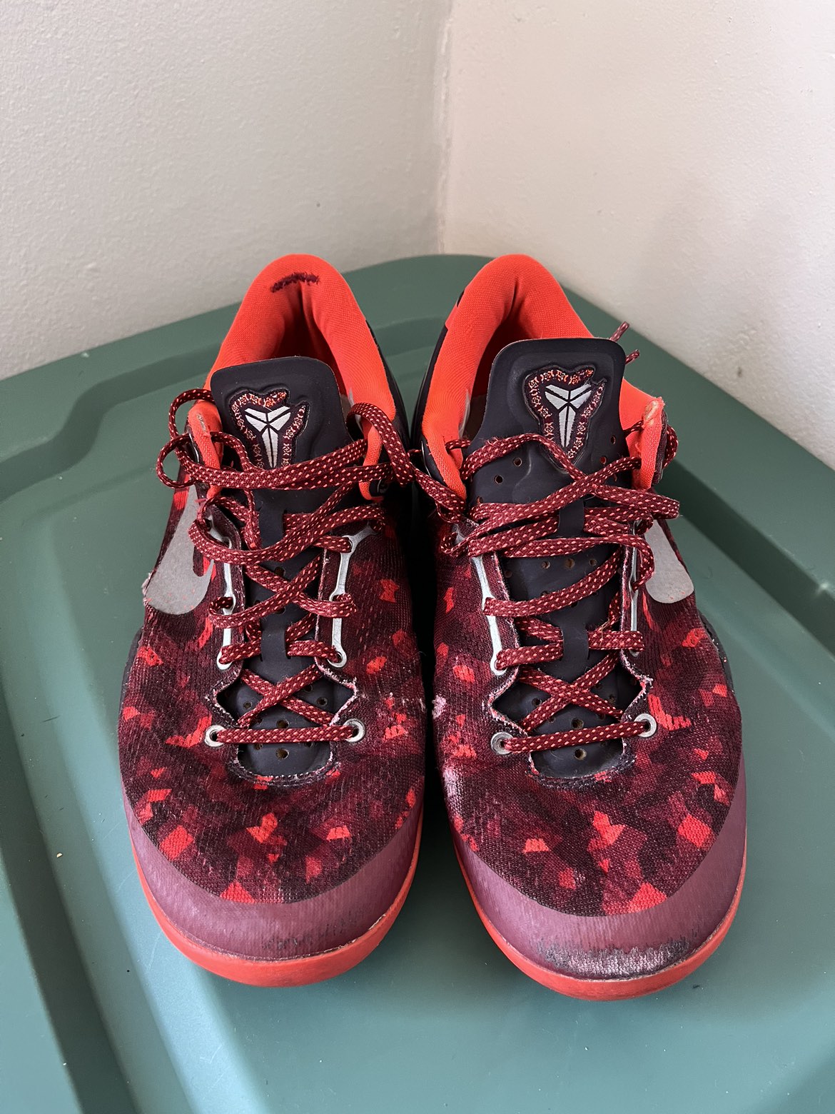 Kobe 8 year of the snake