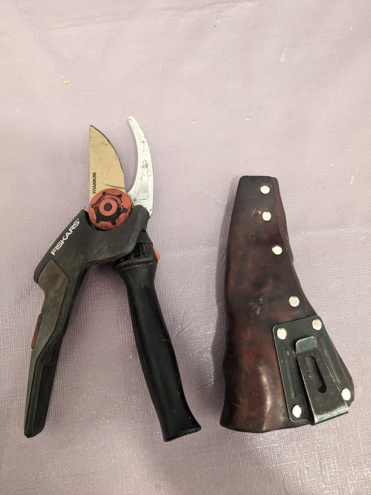 Secateurs