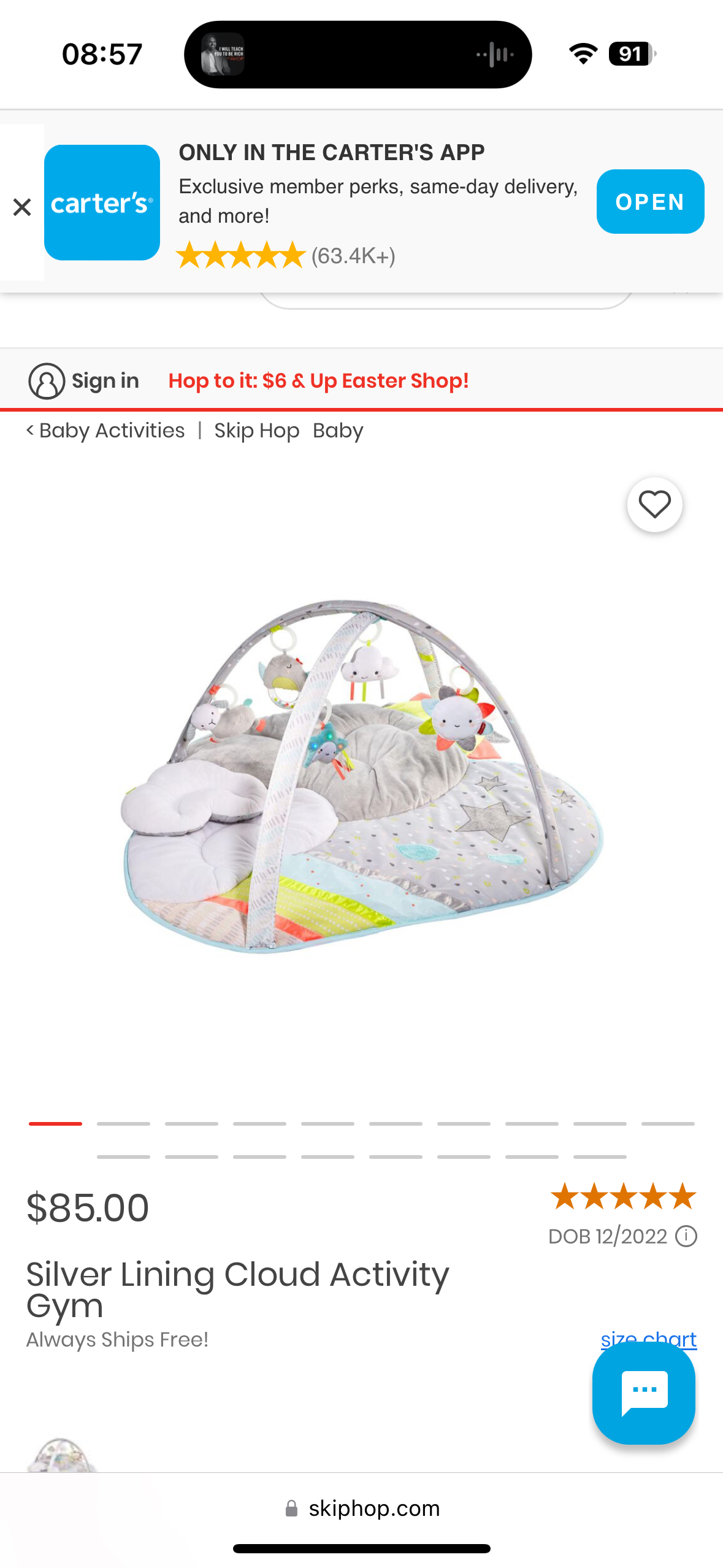 Skip Hop Activity Gym thumbnail