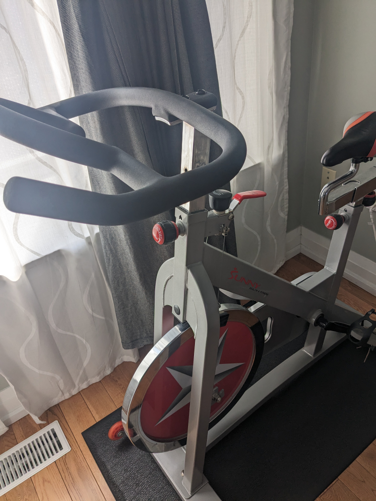 Sunny indoor exercise bike
