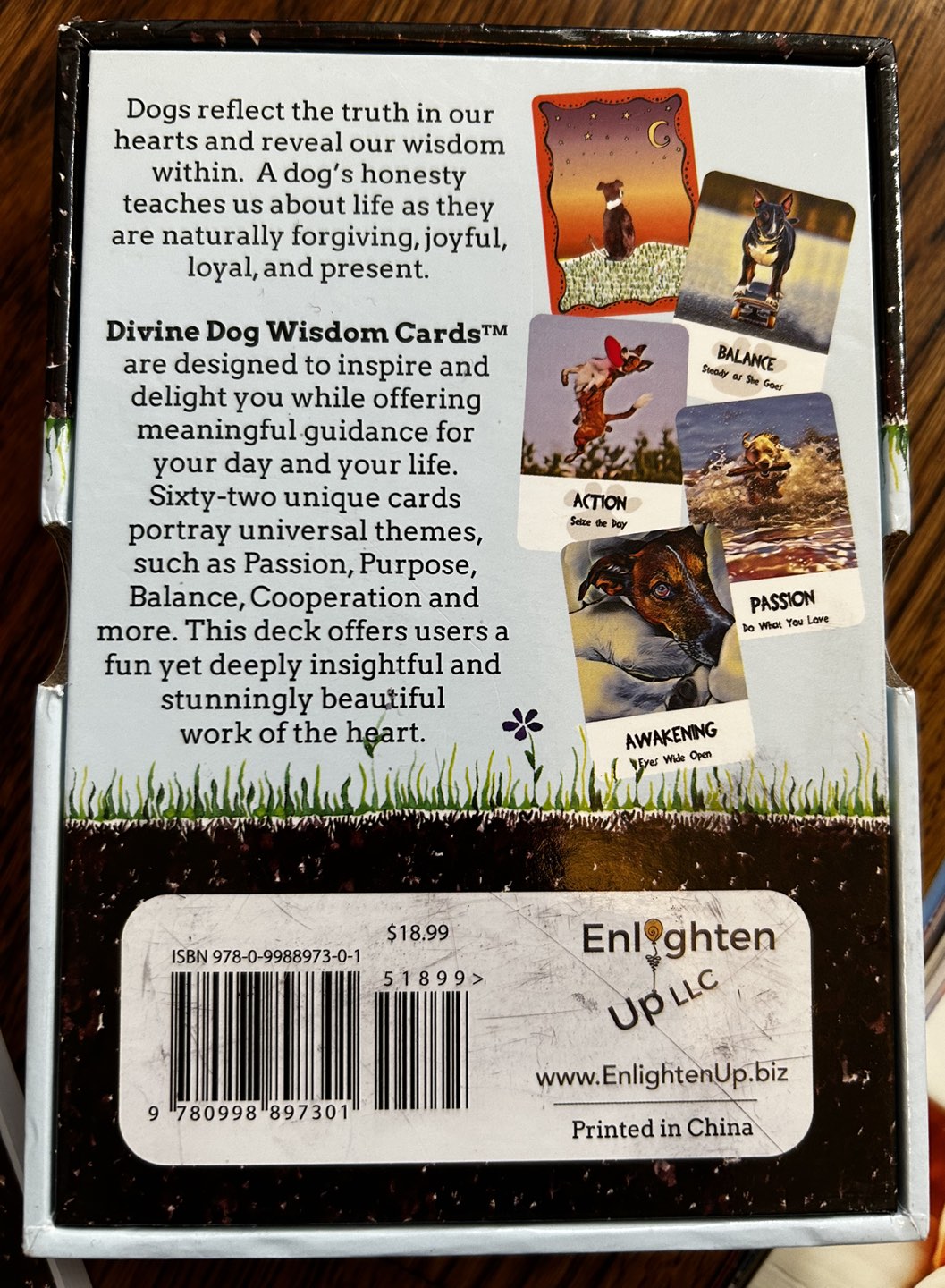 Divine Dog Wisdom Cards - oracle card set image indicator(2)