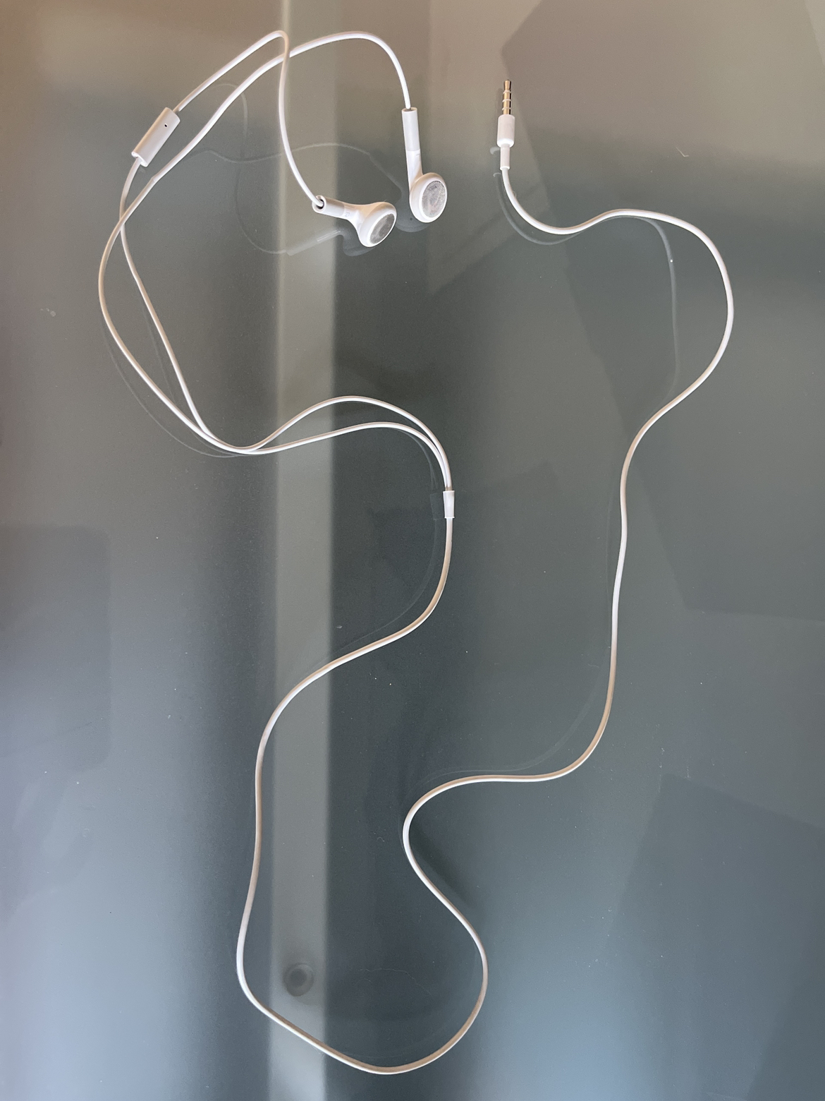 Apple Headphones - photo 2