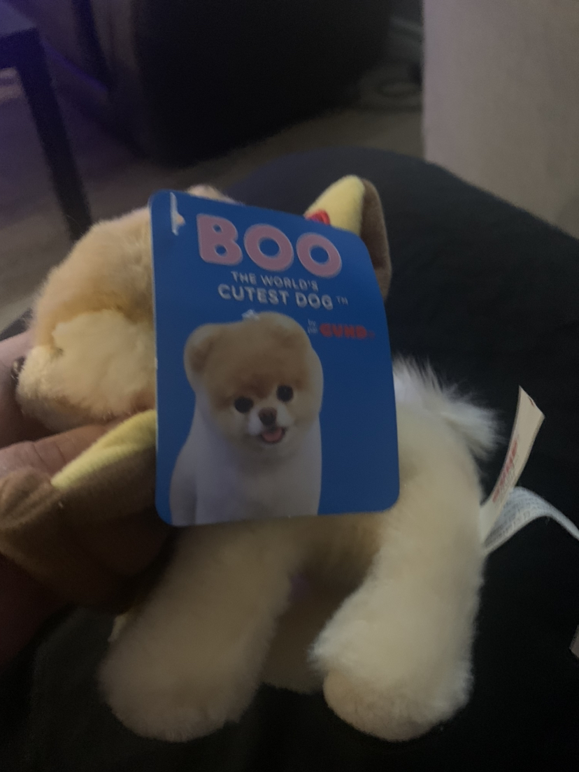 $5 Gund Boo plush 3” (NWT) - photo 2