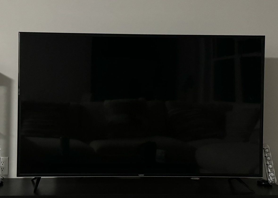 Vizio E series 65 inch - photo 3