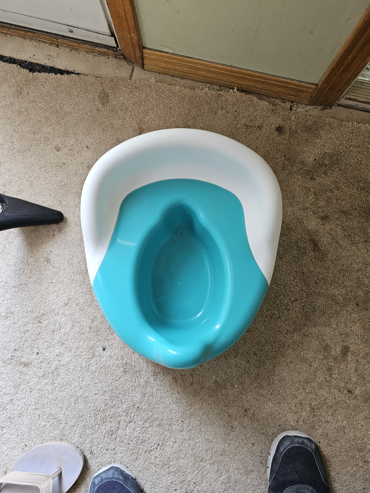 potty training seat