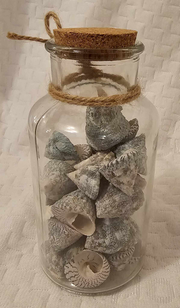 Decorative Glass Jar With Seashells thumbnail