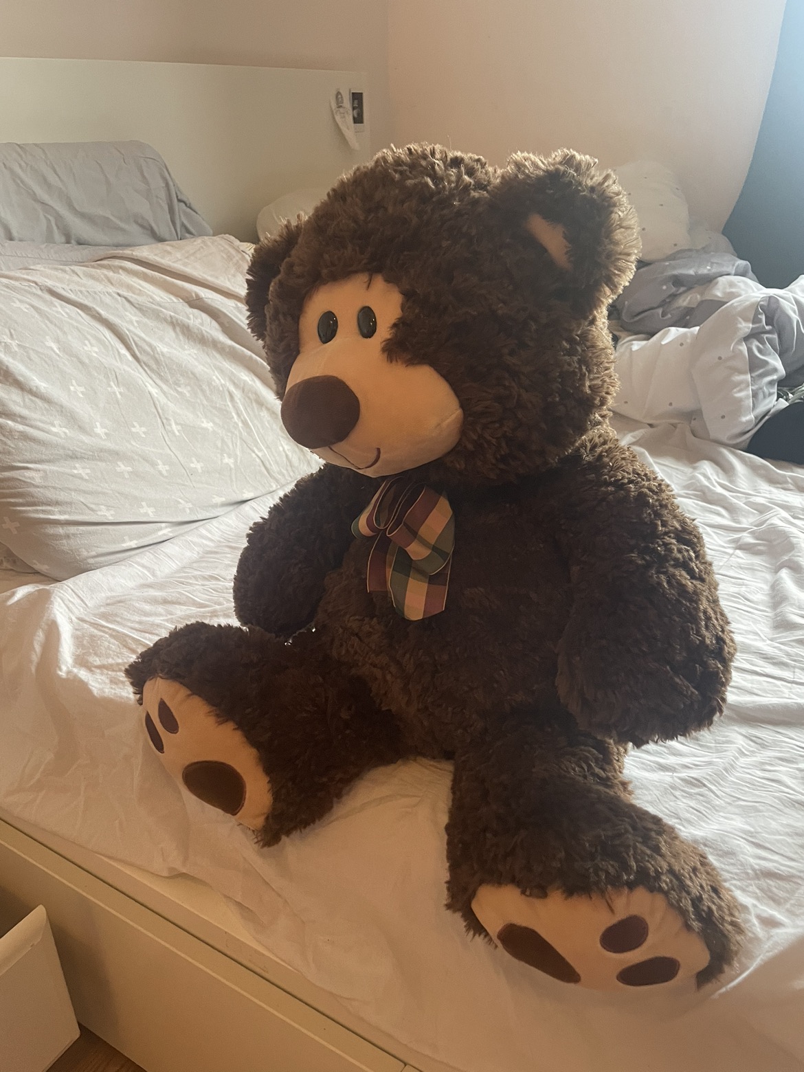 big teddy bear thumbnail