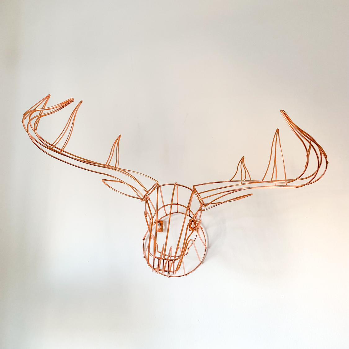 Rose Gold Wall Decor