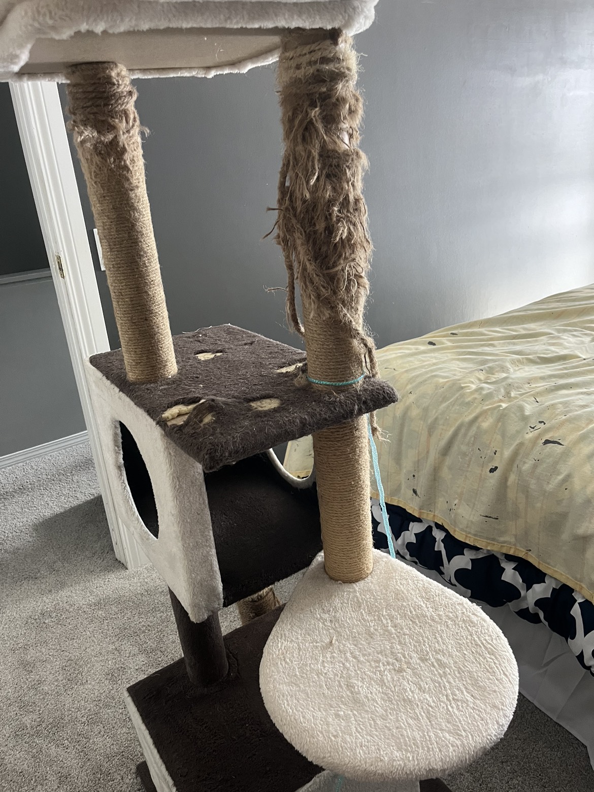 Free Cat Post needs tlc - photo 3