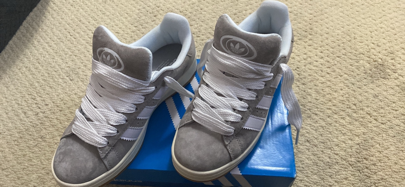 Adidas campus shoes looking for best offer