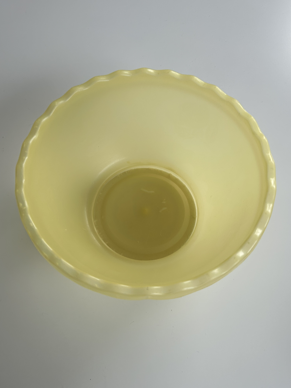 Plastic Bowl 🥕