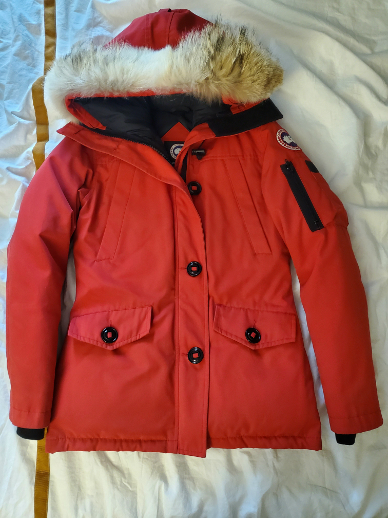 Canada goose thumbnail