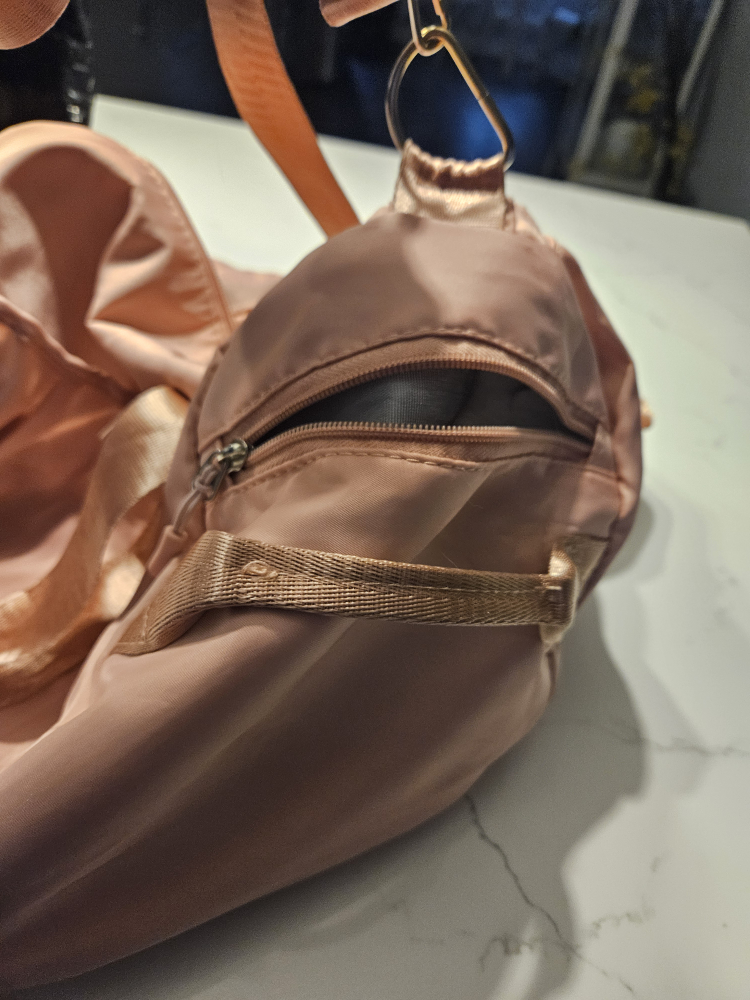 pink gym bag image indicator(4)