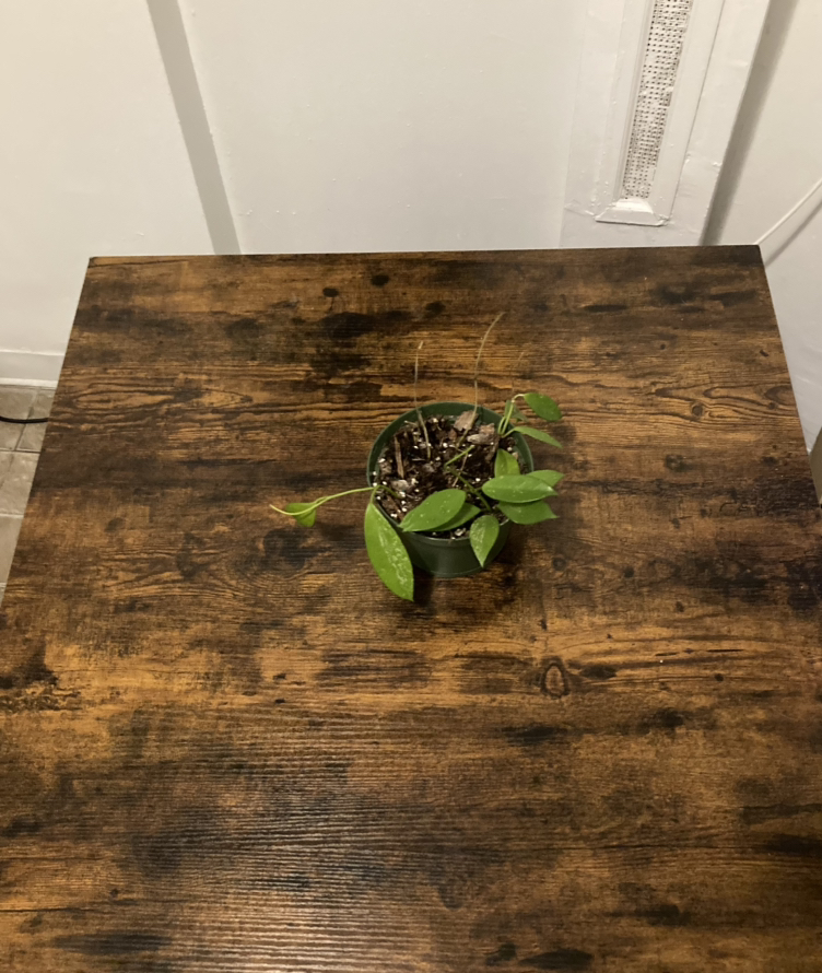 FREE Kitchen table square - photo 4