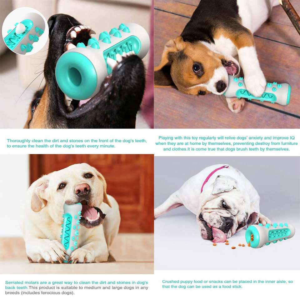 Chew Dog Toy and Toothbrush