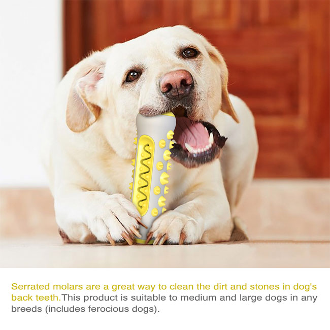 Chew Dog Toy and Toothbrush - photo 2