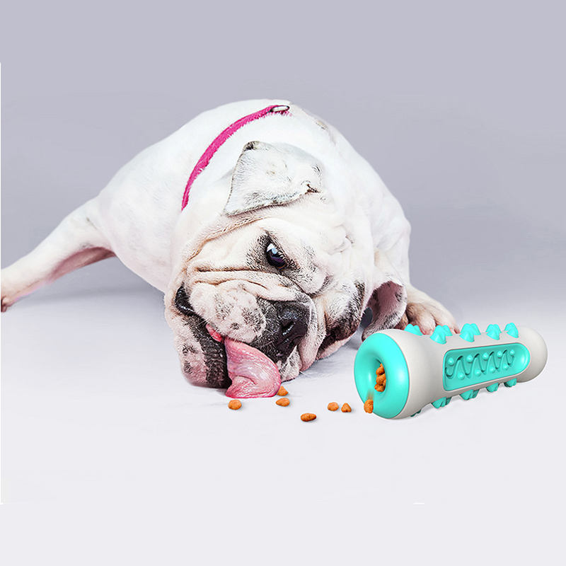 Chew Dog Toy and Toothbrush - photo 5