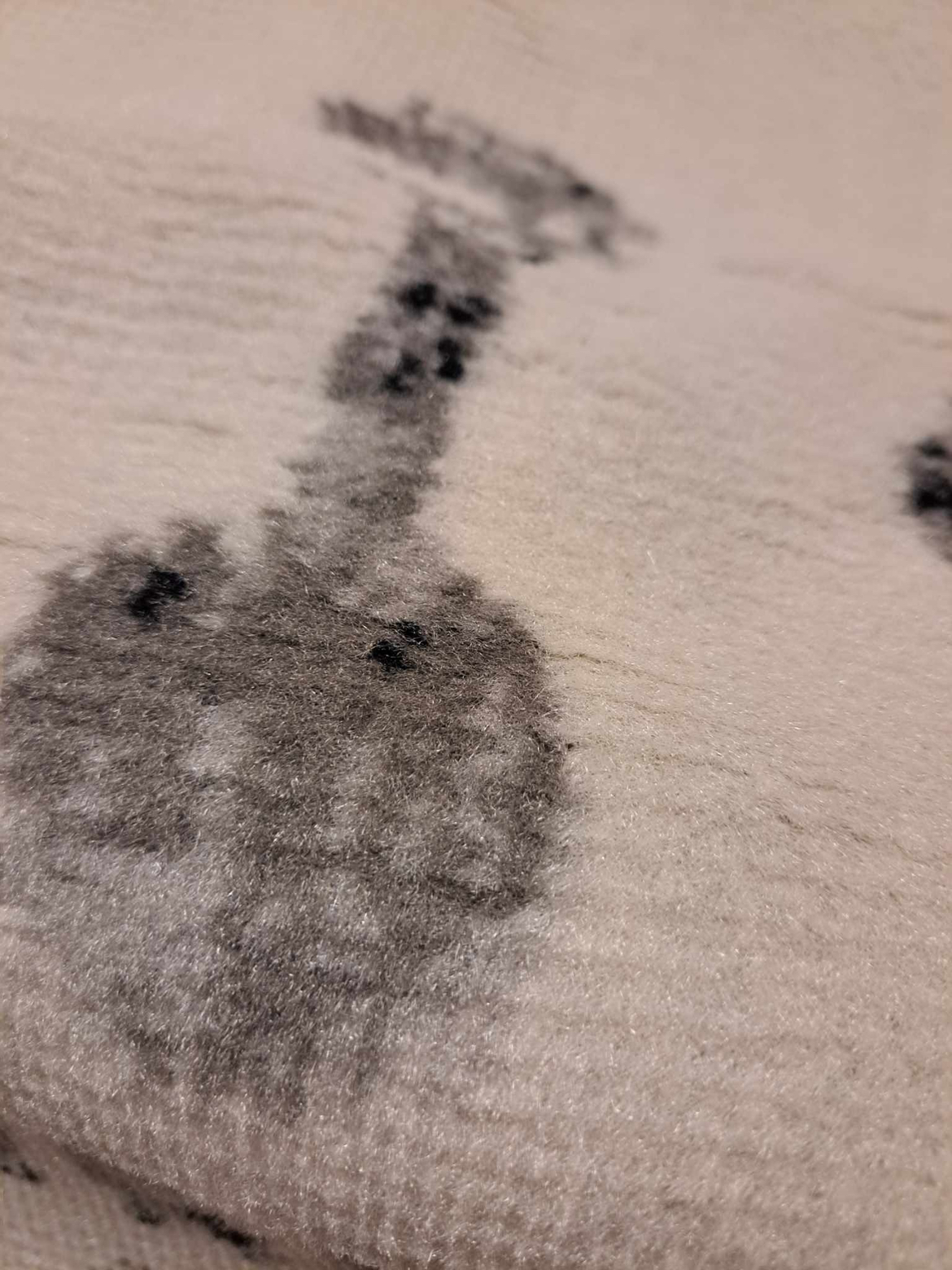 Area Rug #418 image indicator(3)