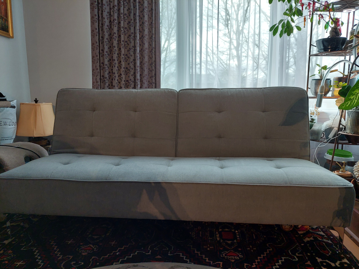 Sealy Sofa Convertible