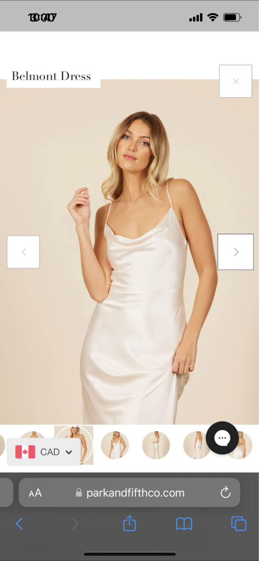 Belmont Dress size small cream colour image indicator(2)