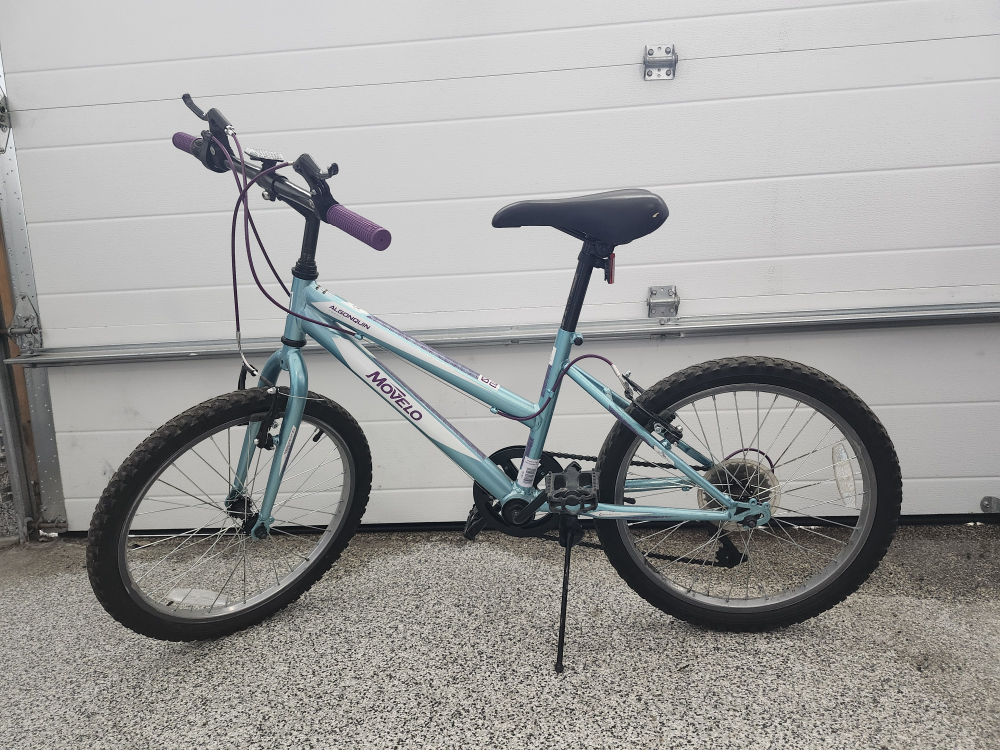 #freecycle Bicycle 20-inch