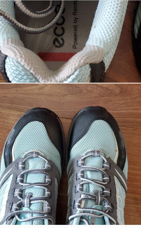 Ecco Receptor Trail/hiking shoe