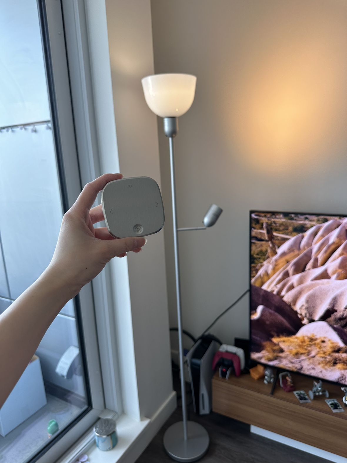 Floor Lamp / Reading Lamp