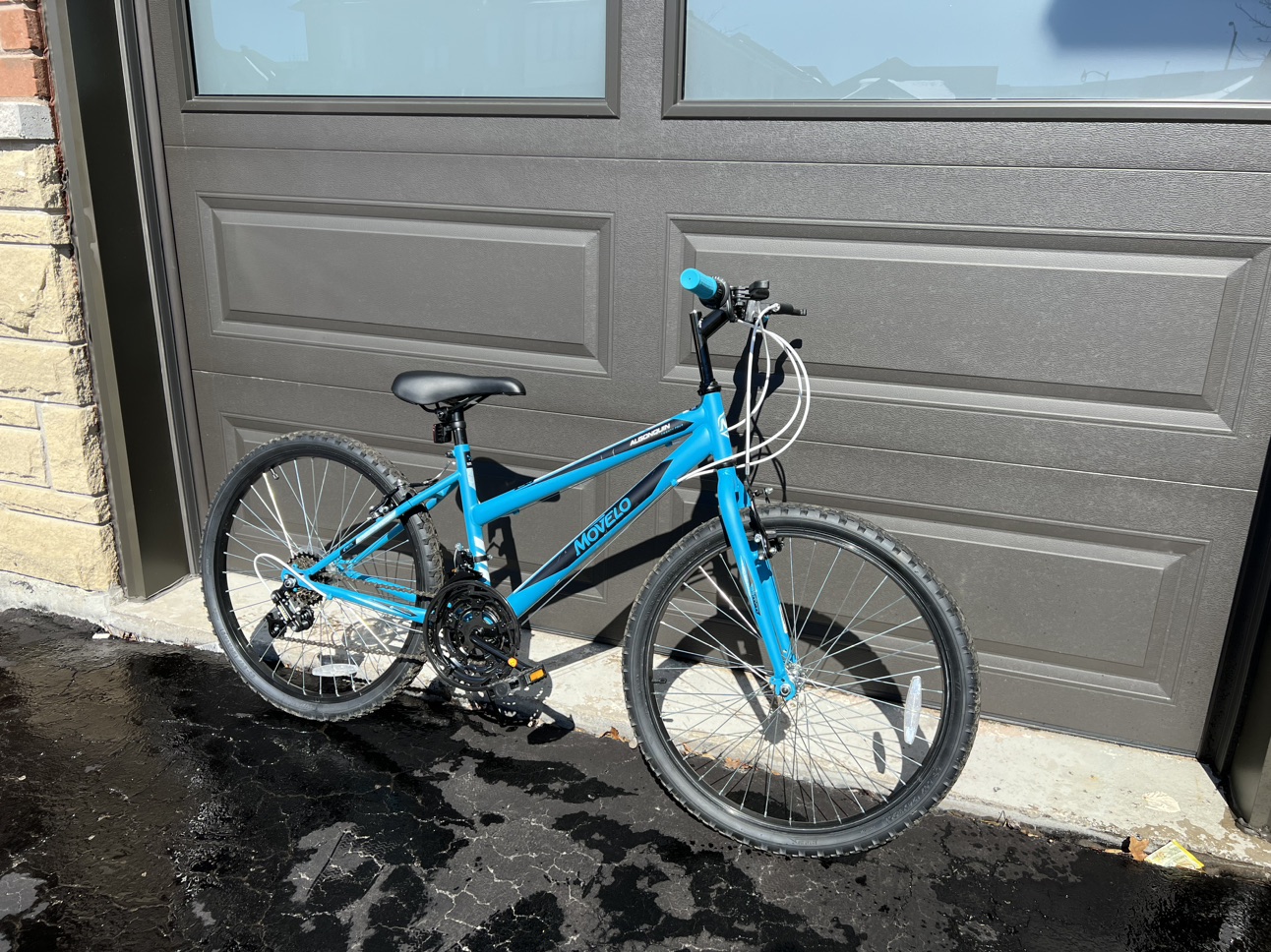 Bicycle (Movelo Algonquin 24-inch)