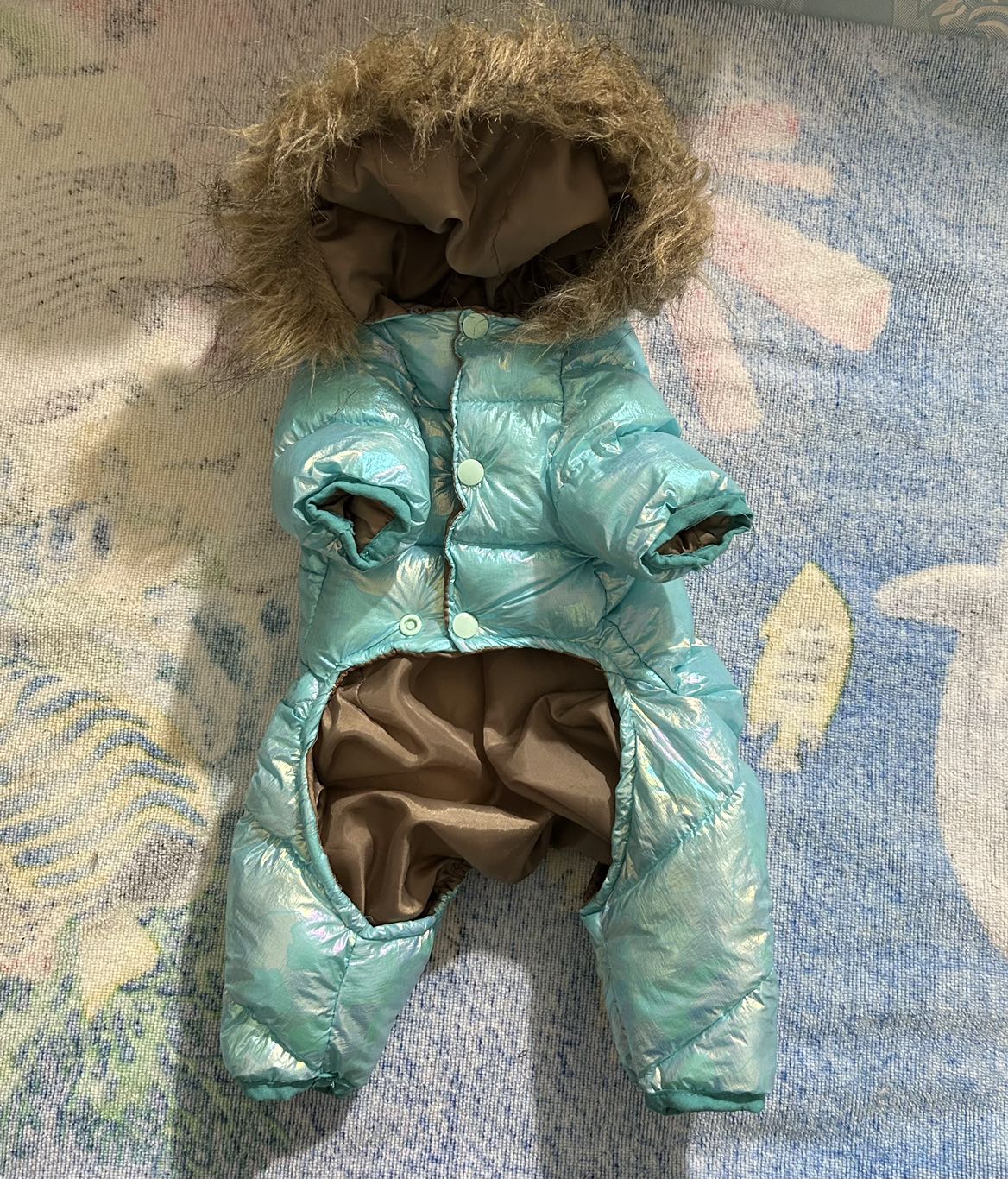 New winter coat for medium sized dog image indicator(6)