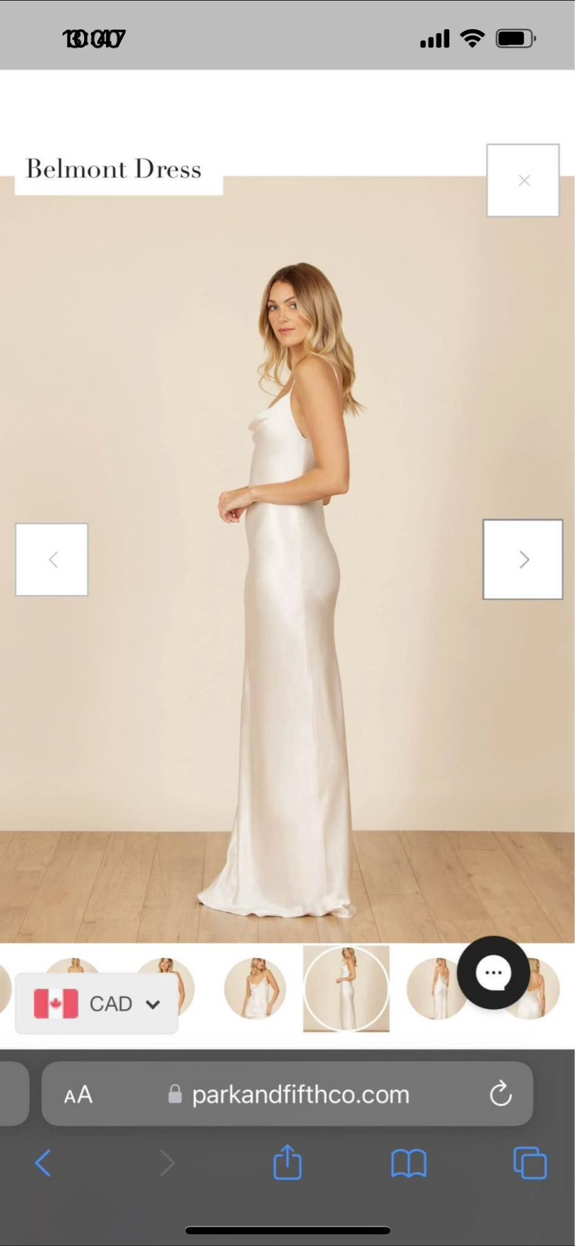 Belmont Dress size small cream colour image indicator(4)