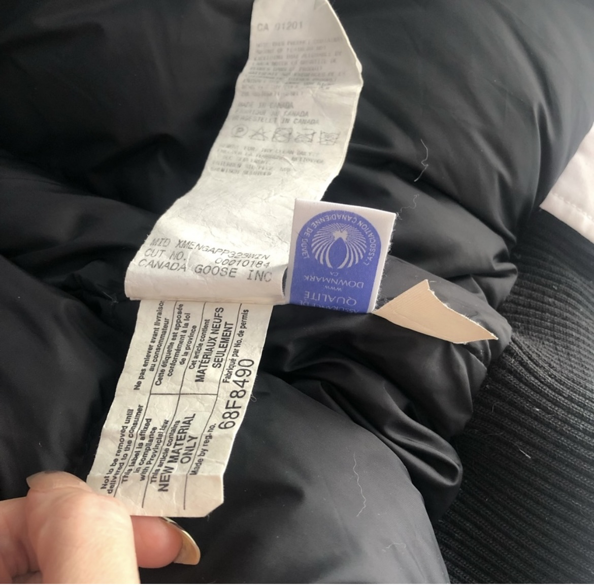 Authentic Canada Goose Chilliwack Bomber Size XS image indicator(10)