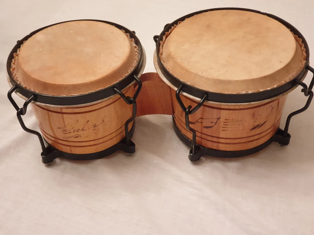 Bongo drum