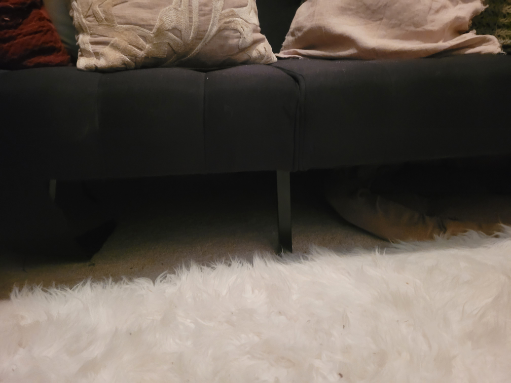 futon - photo 3