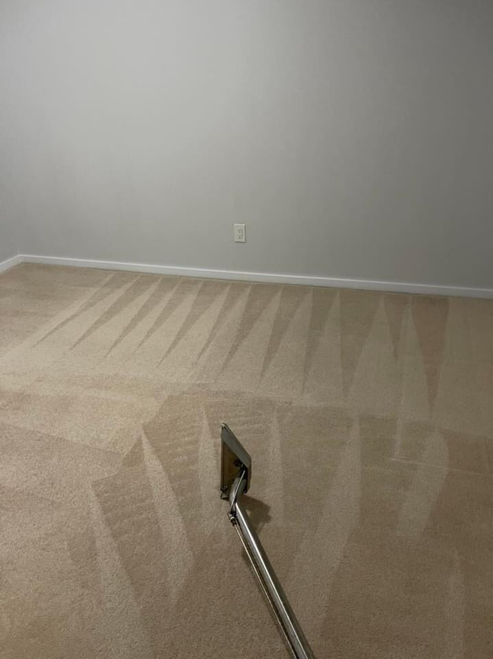 Carpet Steam Cleaning
