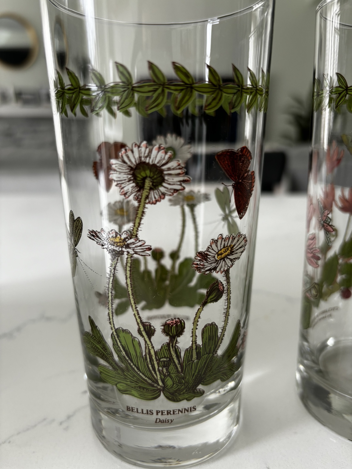 BRAND NEW - 4 Portmeirion glasses (15oz) image indicator(4)