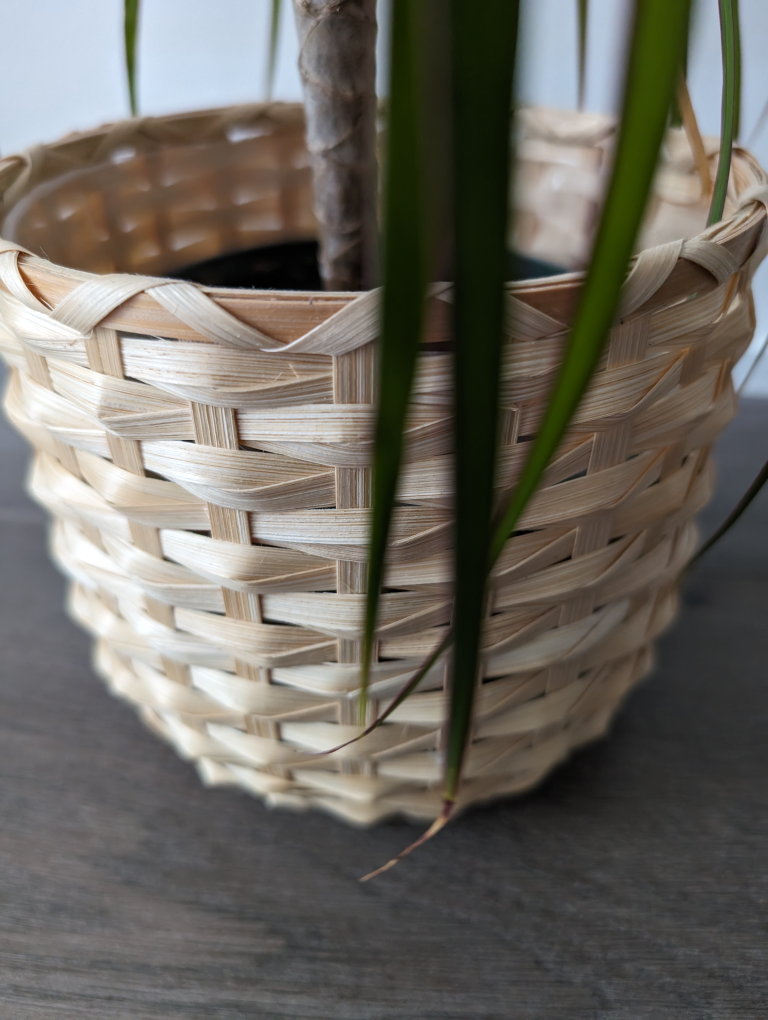 House plant with basket pot - photo 3
