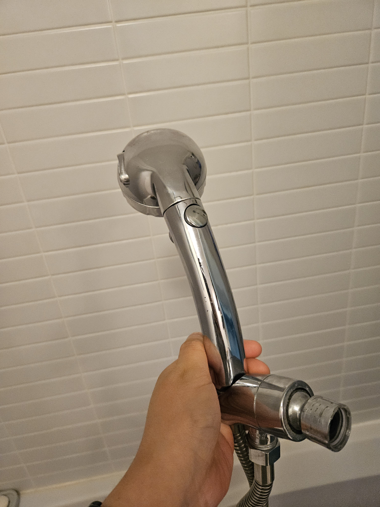 Shower Head (handheld)