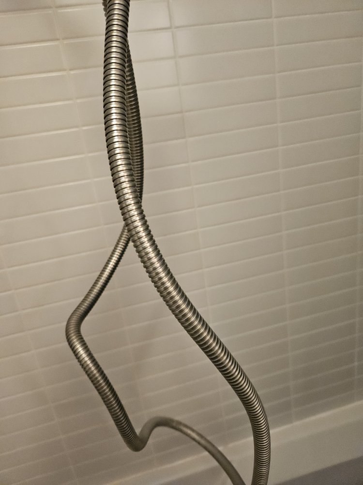 Shower Head (handheld) - photo 2