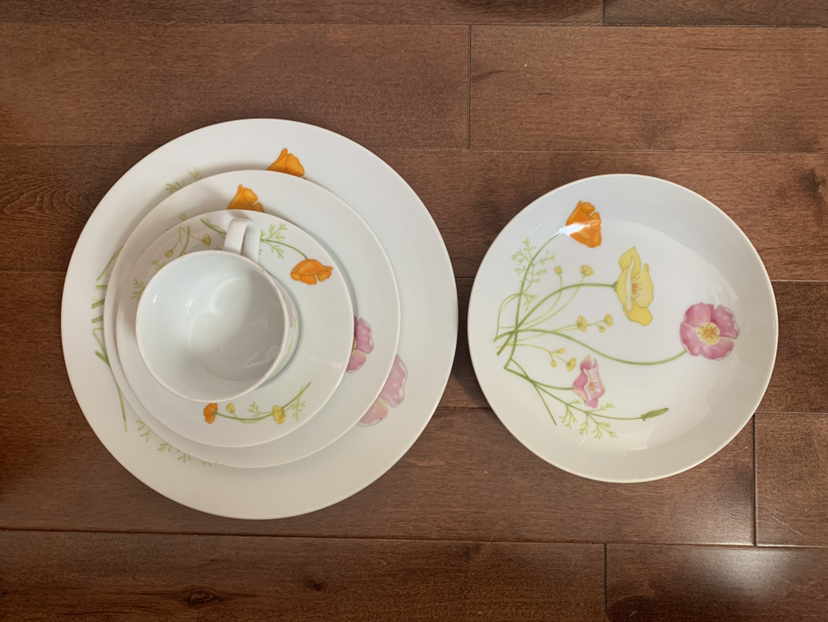 🥕Full Set: Jardin Genevieve fine china image indicator(3)