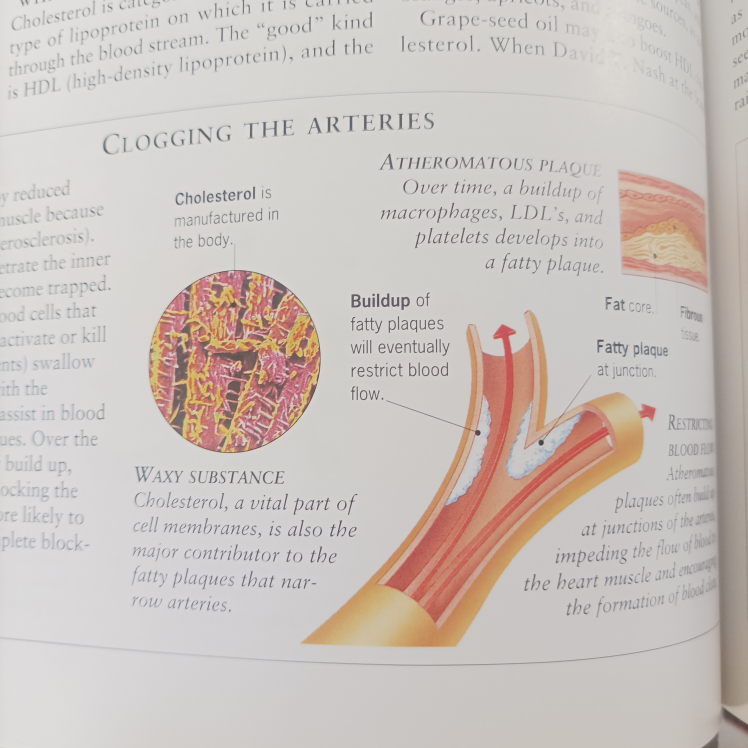 eating for good health image indicator(8)